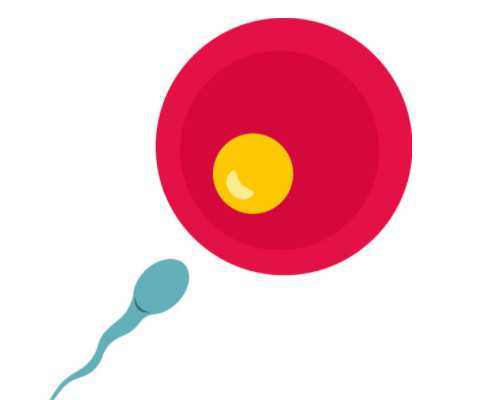 深圳助孕费用及流程